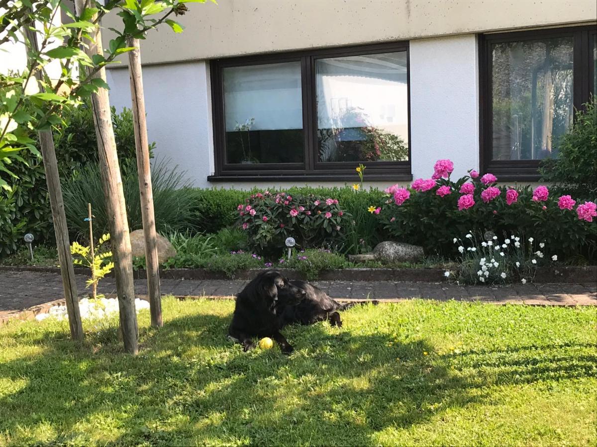 Ferienwohnung Vogt Kasel Exterior foto